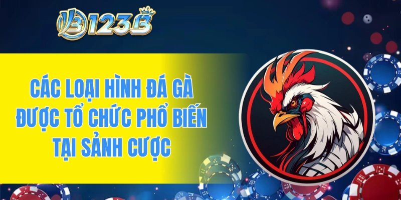 Các loại hình đá gà được tổ chức phổ biến tại sảnh cược